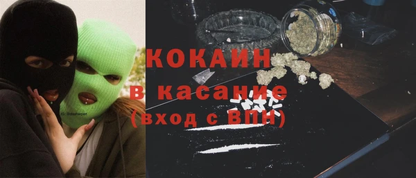 крисы Алексин