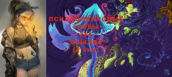 крисы Алексин