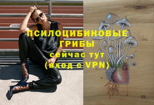 ГАЛЛЮЦИНОГЕННЫЕ ГРИБЫ Алексеевка