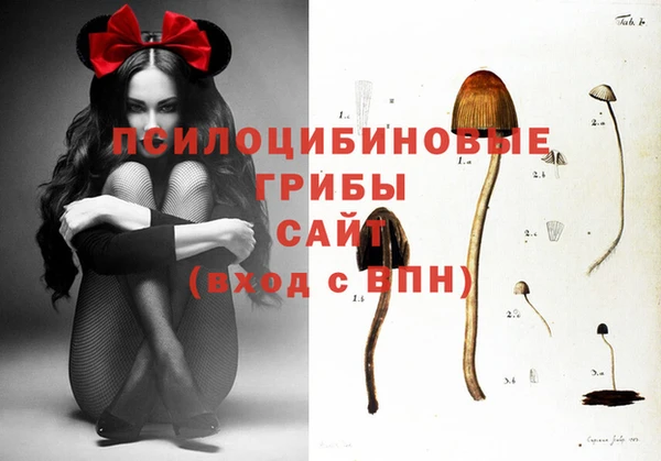 ГАЛЛЮЦИНОГЕННЫЕ ГРИБЫ Алексеевка