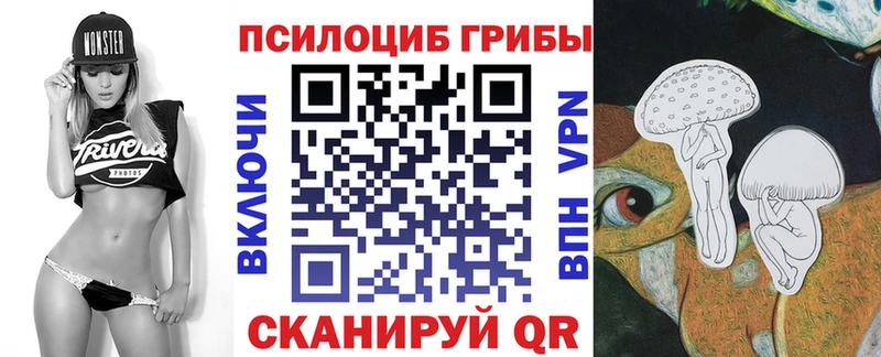 Галлюциногенные грибы ЛСД  где купить наркотик  MEGA зеркало  Чулым 